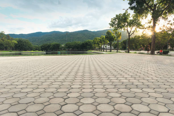 Best Local Driveway Pavers  in Lakewood, CA