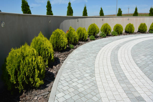 Best Commercial Driveway Pavers  in Lakewood, CA